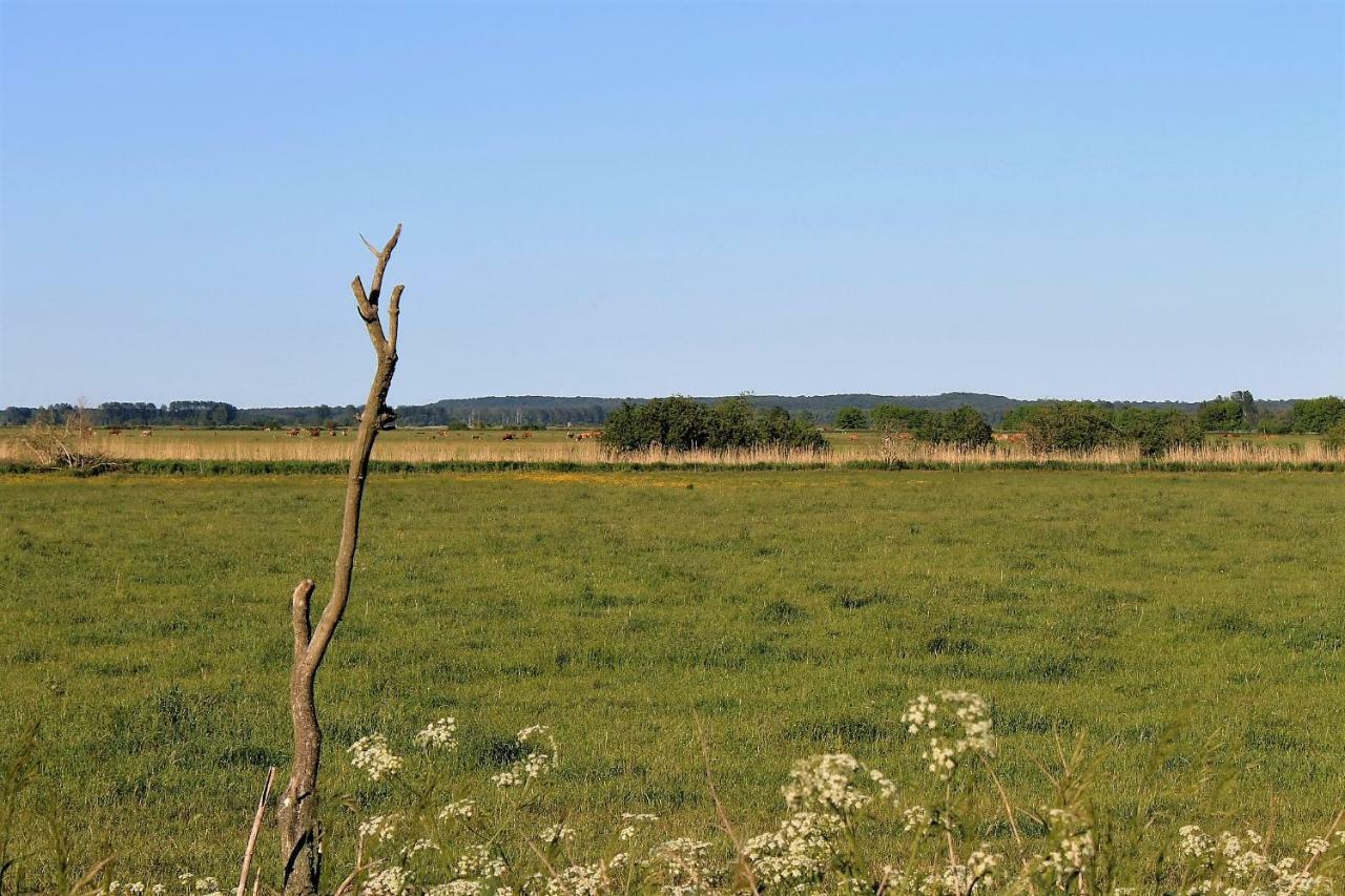 Apartament Gutshof Marienthal Viereck Zewnętrze zdjęcie